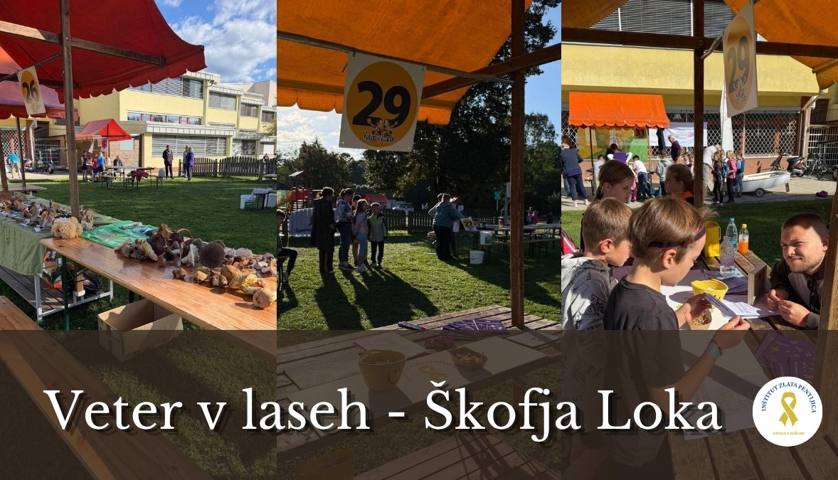 Veter v laseh: V Škofji Loki smo z otroki govorili o raku, podpori in sprejemanju